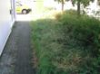 BILD0348.JPG